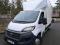 preview Fiat Ducato #0