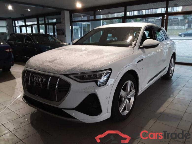 Audi e-tron (GEN)(01.2019->) DE - SUV5 50 quattro, S line, 2019 - 2023