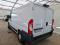 preview Fiat Ducato #1