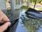 preview BMW 320 #3