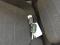 preview Skoda Fabia #4