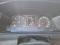 preview Volkswagen T6 Transporter #5