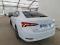preview Skoda Octavia #1