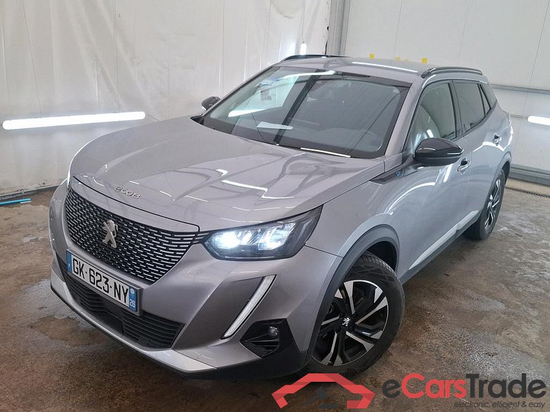 2008 (e-) Road Trip 50kWh BVA