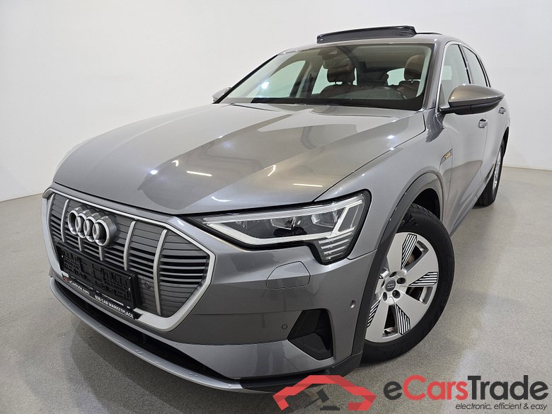 Audi E-tron 55 Quattro Advanced Aut. Pano LED-Matrix Virtual Navi Leather KeylessGo Camera Klima PDC ...