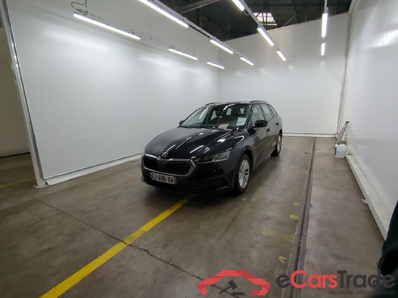 Octavia Break Business 2.0 TDI 115CV BVA7 E6d