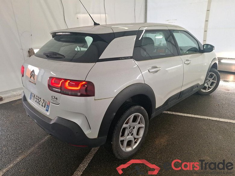 C4 Cactus Feel Business 1.5 BlueHDI 120CV BVA6 E6dT #3