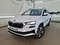 preview Skoda Karoq #0
