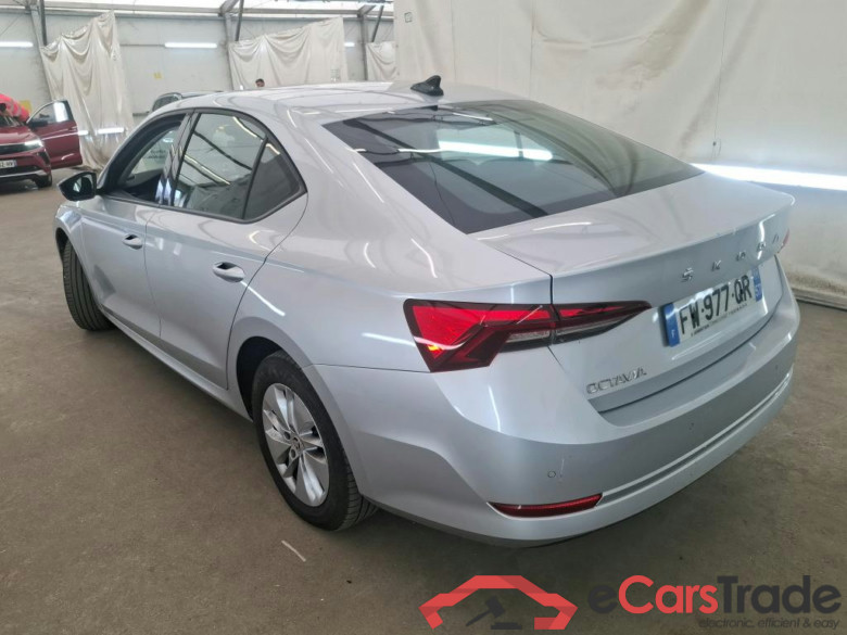 Octavia Lim. Business 2.0 TDI 115CV BVM6 E6d #2