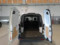 preview Ford Transit #4