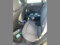 preview Audi A1 #5
