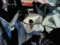preview Ford Fiesta #2