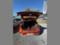 preview MG ZS #4