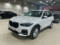 preview BMW X5 #0