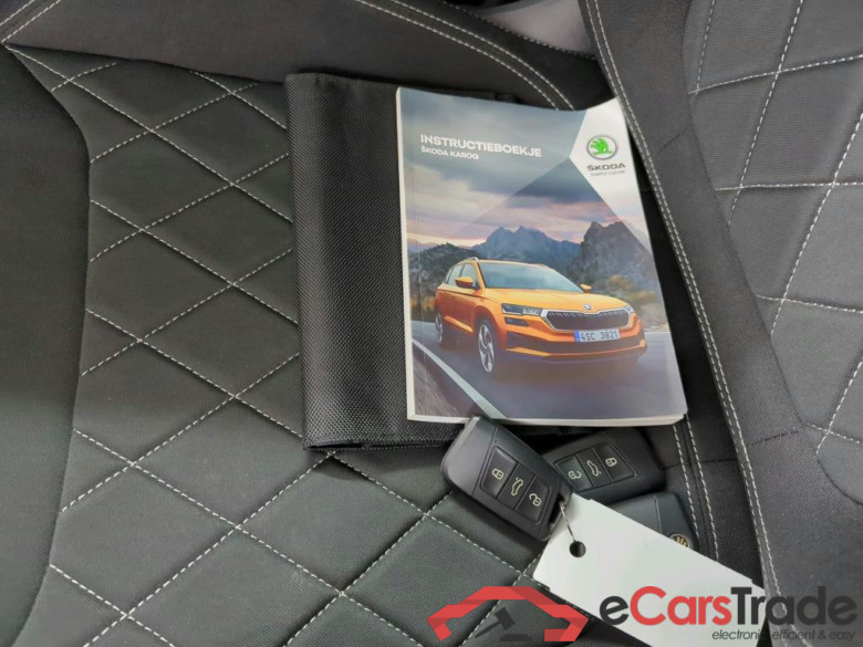 SKODA Karoq 110 kW #3