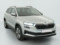 preview Skoda Karoq #0