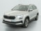 preview Skoda Karoq #2
